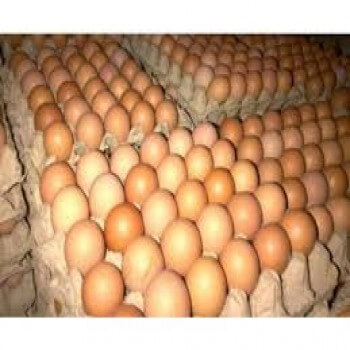 Fresh  Brown Chicken Eggs